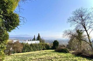 Grundstück zu kaufen in 79312 Emmendingen, Ein Juwel in Emmendingen - Top Baugrundstück auf dem Kastelberg