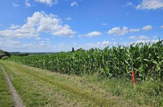 Grundstück zu kaufen in 31683 Obernkirchen, Sichern Sie sich Ihr Bauland von morgen- Bauerwartungsland in Obernkirchen