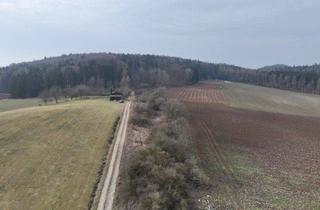 Grundstück zu kaufen in 92355 Velburg, Perfekte Kapitalanlage ohne großen Arbeitsaufwand.