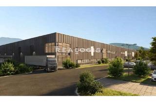 Büro zu mieten in 63477 Maintal, Logistikfläche mit Büro - Neubau an der A66