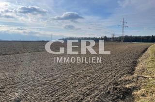 Grundstück zu kaufen in 94072 Bad Füssing, Attraktive Ortsrandlage - Baugrundstück in der Nähe von Bad Füssing