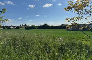 Haus kaufen in 71729 Erdmannhausen, "Wohnen Sie in sehr beliebter Randlage direkt angrenzend zur Natur" Moderne DHH in Erdmannhausen