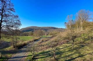 Mehrfamilienhaus kaufen in 63628 Bad Soden-Salmünster, Charmantes Mehrfamilienhaus mit großem Grundstück - Feldrandlage!