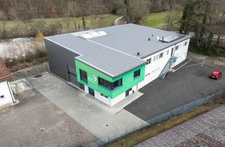 Gewerbeimmobilie kaufen in Kreuzwiese 11, 67806 Rockenhausen, Multifunktionale Gewerbeeinheit - Halle, Büros, Schulungsräume und Stellplätze