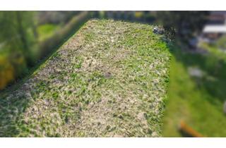 Grundstück zu kaufen in 38704 Liebenburg, Bauen im Grünen: Idyllisches Grundstück mit vielseitigem Potenzial