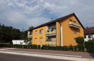Mehrfamilienhaus kaufen in 76467 Bietigheim, Bietigheim - Top gepflegtes 6-Familienhaus in Bietigheim
