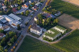 Penthouse kaufen in 76829 Landau, Penthousewohnung in exponierter Lage mit gehobener Ausstattung zum Erstbezug