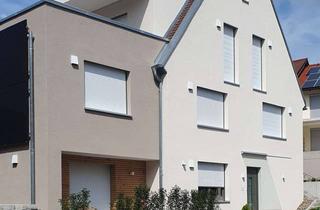 Wohnung mieten in Goethestraße, 97475 Zeil, Energetisch sanierte 2-Raum-UG-Wohnung mit Terrasse und geh. Innenausstattung