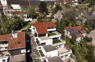 Haus kaufen in 71549 Auenwald, Traumhaftes, lichtdurchflutetes Zuhause in sonniger Aussichtslage