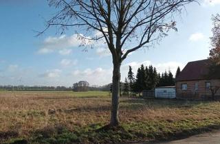 Grundstück zu kaufen in 19357 Karstädt, Großes Baugrundstück in Karstädt OT Dallmin