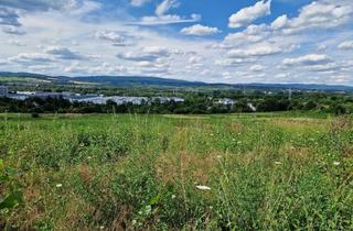 Grundstück zu kaufen in 55257 Budenheim, Baugrundstück in Top Lage Neubaugebiet "Wäldchenloch"