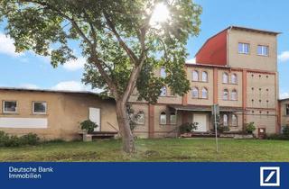 Haus kaufen in 39596 Arneburg, Arneburg - Einzigartiges Anwesen mit historischem Charme