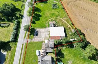 Haus kaufen in 25719 Busenwurth, Busenwurth - Verwirklichen Sie sich auf ca. 10.000 m² Pferdehaltung möglich