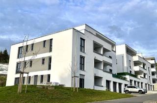 Wohnung kaufen in 97990 Weikersheim, Weikersheim - Neubau! Bezugsfertige Eigentumswohnung Drosselweg 2 in Weikersheim