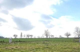 Doppelhaushälfte kaufen in Marienstr. 23-25, 45711 Datteln, Doppelhaushälfte in unverbaubarer Randlage! Wahlweise als veredelter Rohbau oder schlüsselfertig!