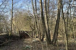 Grundstück zu kaufen in 16816 Neuruppin, Großzügiges Gartengrundstück mit Potenzial in Neuruppin