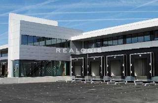 Gewerbeimmobilie mieten in 32278 Kirchlengern, Kirchlegern, nahe der A30 bis zu 33.839 m² teilbare Neubauhallenfläche mit WGK-3 zu vermieten