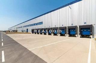 Büro zu mieten in 15834 Rangsdorf, Berlin-Rangsdorf, ca. 41.072 m² Halle zzgl. ca. 2.870 m² Büro