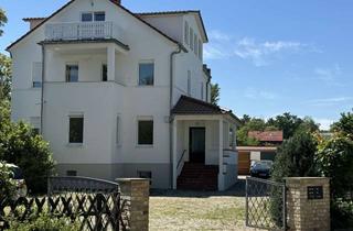 Wohnung mieten in Elsastraße, 14542 Werder (Havel), Helle, wunderschöne, helle und neu renovierte Wohnung mit Kamin und Terrasse plus Gartennutzung