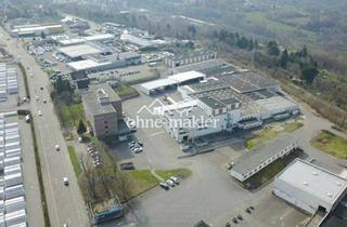 Geschäftslokal mieten in 66954 Pirmasens, Handwerker und Gewerbepark Pirmasens verschiedene Hallenflächen zu vermieten Prod./Werkstatt/Lager