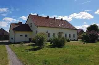 Wohnung mieten in Güstebieser Loose 44, 16259 Neulewin, 3-R-W * ländliche Idylle * Odernähe * DG