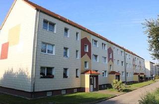 Wohnung mieten in Am Mühlenberg 22, 18334 Bad Sülze, Schön Wohnen - 2 ZKB