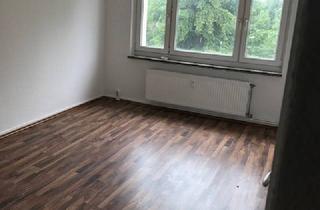 Wohnung mieten in Dorfstraße, 18528 Rappin, Sanierte helle 2-Zimmer Wohnung im 1.OG mit Laminat und neuem Badezimmer