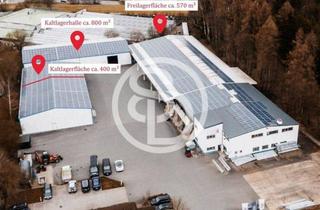 Geschäftslokal mieten in 95145 Oberkotzau, Großzügige, gut erreichbare Lagerflächen - wärmegedämmte Kaltlagerhallen mit elektrischen Rolltoren und Freilager - 3 Einzelflächen ab ca. 400 m² - optionale Büroflächen