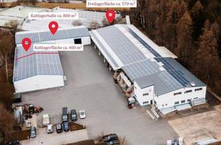 Geschäftslokal mieten in 95145 Oberkotzau, Großzügige, gut erreichbare Lagerflächen - wärmegedämmte Kaltlagerhallen mit elektrischen Rolltoren und Freilager - 3 Einzelflächen ab ca. 400 m² - optionale Büroflächen