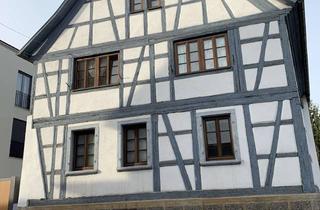 Wohnung mieten in Gaustraße 19, 55294 Bodenheim, Geschmackvolle 2-Raum-Wohnung mit Balkon und EBK in Bodenheim