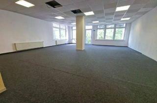 Gewerbeimmobilie kaufen in 08209 Auerbach, Historisches Schul- und Fabrikgebäude in Auerbach mit viel Potential