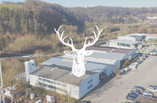 Gewerbeimmobilie kaufen in 79793 Wutöschingen, Gewerbeareal mit Lager-, Produktions-, Büro- und Außenflächen inkl. vermietetem Fitnessstudio