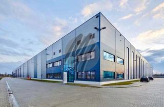 Büro zu mieten in 46446 Emmerich, NEUBAU ✓ RAMPE + EBEN ✓ Lager-/Logistik (20.000 m²) & Büro-/Sozial (1.000 m² / erweiterbar)