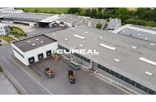 Gewerbeimmobilie mieten in 59469 Ense, Logistikhalle mit Rampen + ebenerdige Andienung | ab sofort | 3.700 m²