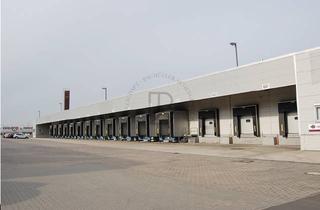 Gewerbeimmobilie mieten in 87719 Mindelheim, "BAUMÜLLER AG" - ca. 40.000 m² Logistikhalle - kurzfristig verfügbar!