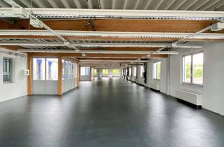 Gewerbeimmobilie mieten in 74906 Bad Rappenau, Provisionsfrei !!! Gewerbeobjekt mit 60 PKW- Stellplätzen! *Teilfläche möglich*