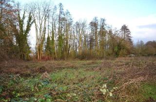 Grundstück zu kaufen in 41334 Nettetal, Großzügiges Baugrundstück in naturnaher und familienfreundlicher Wohnlage von 41334