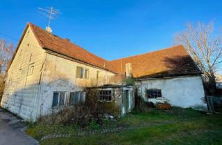 Grundstück zu kaufen in 82287 Jesenwang, Großes Baugrundstück mit Altbestand in Pfaffenhofen