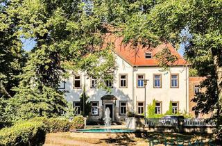 Haus kaufen in 06632 Gleina, Schloss Lichthof – Ihr privates Refugium mit Eventpotential (SOLL Faktor ca. 10)