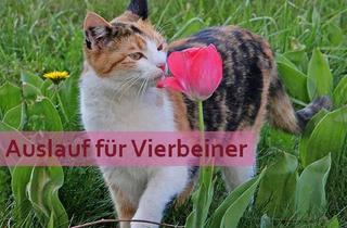 Haus kaufen in 92521 Schwarzenfeld, Geringe Nebenkosten - Mehr Geld für Hobbys