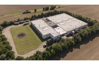 Büro zu mieten in Lüttgenröder Straße, 38835 Osterwieck, Multifunktionale Hallenflächen ab 800 m² mit Büro- und Sozialflächen