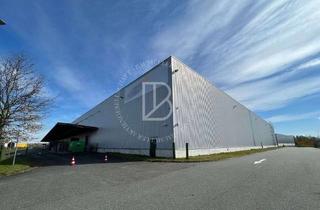 Gewerbeimmobilie mieten in 68526 Ladenburg, "BAUMÜLLER AG" - ca. 6.000 m² Hallenfläche // WGK-III