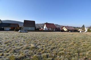 Grundstück zu kaufen in 98660 Themar, Baugrundstück