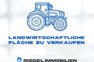 Immobilie kaufen in 67822 Mannweiler-Cölln, Sie hier? Wir auch! Landwirtschaftliche Fläche ca. 7.536 m²