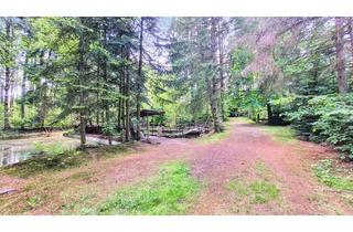 Grundstück zu kaufen in 21698 Harsefeld, Issendorf: Bau- und Teichgrundstück