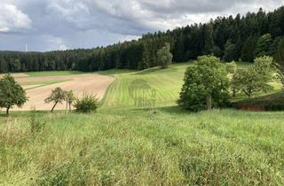 Grundstück zu kaufen in 72290 Loßburg, DER TRAUM ALLER NATURLIEBHABER MIT IDYLLISCHEM PANORAMABLICK!
