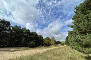Anlageobjekt in 16567 Mühlenbeck, Waldflächen an der Berliner Stadtgrenze (Berliner Mauerstreifen) und im Landkreis OHV