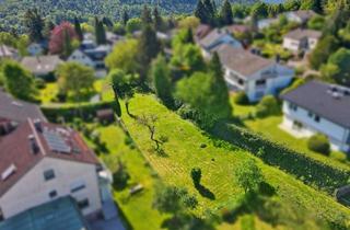 Grundstück zu kaufen in 76530 Ebersteinburg, Attraktives Baugrundstück in ruhiger Wohnlage