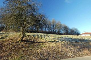 Grundstück zu kaufen in 66919 Weselberg, Weselberg - Voll erschlossenes Baugrundstück