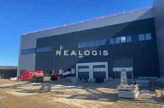 Gewerbeimmobilie mieten in 94377 Steinach, sofort verfügbar I ca. 2.000 m² moderne Neubau-Logistikfläche I Rampen